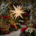 Étoile de Noël LED blanc chaud avec minuterie extérieure 60 cm | Floristik24.be