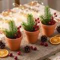Pot de fleur argile Ø3.5cm H3cm 10pcs | Floristik24.be