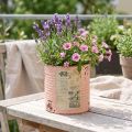 Pot de fleurs décoratif en métal saumon, décoration estivale Ø11cm H10.5cm | Floristik24.be