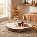 Tranche de bois décoratif naturel en paulownia de Ø20-25 cm | Floristik24.be