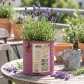 Jardinière décorative vintage en métal violet, décoration estivale Ø11cm H10.5cm | Floristik24.be