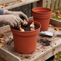 Cache-pot plastique Ø29cm 10pcs | Floristik24.be