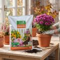 Terreau Villa Flora 10 l | Floristik24.be