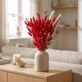 Herbe décorative rouge, Lagurus, herbe veloutée, compositions de fleurs séchées L20–50cm 25g | Floristik24.be