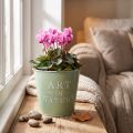 Pot de fleurs en zinc, vert menthe, Ø15cm, H13,5cm | Floristik24.be