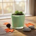 Pot en verre Ø10cm H8.5cm vert menthe | Floristik24.be