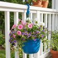 Panier suspendu 25cm bleu | Floristik24.be