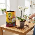 Terreau FRUX pour orchidées (5 litres) | Floristik24.be