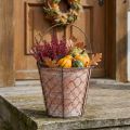 Pot de fleurs en céramique avec anse en métal marron Ø18cm | Floristik24.be