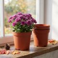 Cache-pot plastique Ø17cm 10pcs | Floristik24.be
