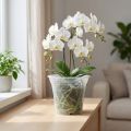 Pot en plastique “Irys” transparent Ø17cm 1 pce | Floristik24.be