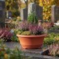 Jardinière en plastique Ø20cm, jardinière en terre cuite, 5 pièces | Floristik24.be