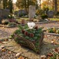 Jardinière Coeur Mousse de Vigne 21cm x 26cm H6cm | Floristik24.be