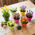 Pot de fleur en plastique Ø12cm 25 pcs | Floristik24.be