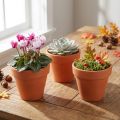 Pot de fleur en argile Ø6cm haut 5cm 10pcs | Floristik24.be