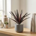 Aloe Vera violet artificiel 26cm | Floristik24.be