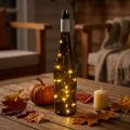 Bouteille lumineuse LED blanc chaud 73cm 15L | Floristik24.be