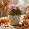 Pot d'automne, cache-pot avec feuilles, décoration métal doré Ø16.5cm H14.5cm | Floristik24.be