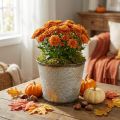 Seau à plantes à décor de feuilles, vase en métal, automne doré Ø18cm H17cm | Floristik24.be