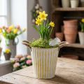 Pot en métal, décoration printanière, cache-pot avec anses, jaune, style shabby chic, Ø 18 cm, H 17,5 cm | Floristik24.be