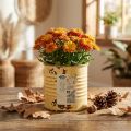 Boîte décorative en métal, couleur abricot d'été, pot de fleurs, Ø8cm H7.5cm | Floristik24.be