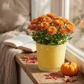 Cache-pot en verre cache-pot jaune pot en verre Ø14.5cm H12.5cm | Floristik24.be