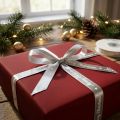 Ruban de Noël Ruban Joyeux Noël Argent Blanc 10mm 20m | Floristik24.be