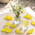 Décoration de table estivale : tranches de citron artificielles, 24 pièces | Floristik24.be