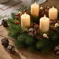 Cônes de cyprès cônes de cyprès naturels décoratifs 2-4cm 250g | Floristik24.be