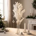 Asperge sétacée Déco Herbes séchées Blanc 55-70cm 100g | Floristik24.be