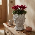 Buste en pierre moulée sculpture femme jardinière antique H21,5cm | Floristik24.be