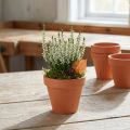 Pot de fleurs en argile Ø8cm haut 7cm 10pcs | Floristik24.be