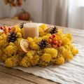 Mousse de Rennes Jaune 400g | Floristik24.be