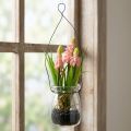 Jacinthe de raisin artificielle rose dans un verre 16cm | Floristik24.be