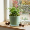 Cache-pot en verre jardinière verte pot en verre Ø14.5cm H12.5cm | Floristik24.be