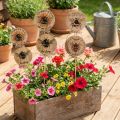 Bouchon fleur Bouchon décoratif abeille en bois avec dicton 7x27,5cm 12 pièces | Floristik24.be