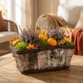 Jardinière cache-pot carré bouleau/vigne 28×14×11.5cm | Floristik24.be