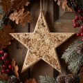 Étoile décorative en bois naturel avec écorce de bouleau Ø20 cm | Floristik24.be