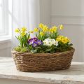 Pot de fleurs ovale en vigne naturelle 40 x 19 x 11,5 cm | Floristik24.be