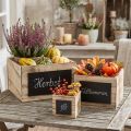 Boîtes rustiques en bois avec surface tableau noir – naturelles et noires, différentes tailles – solution de rangement polyvalente – lot de 3 | Floristik24.be