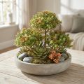 Mini plante succulente artificielle verte artificielle avec tige H23cm | Floristik24.be