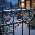 Guirlande lumineuse LED riz 40s 3m pour extérieur blanc froid | Floristik24.be