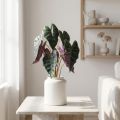 Alocasia flèche feuille verte, plante artificielle violette H48cm | Floristik24.be