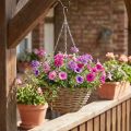 Lampe corbeille nature Ø30cm | Floristik24.be