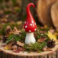 Déco Amanite Mouche Céramique Déco Champignon Rouge Blanc Ø6.5cm H21cm | Floristik24.be