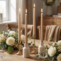 Bougies coniques Bougies Wenzel beige 250/23mm 12 pcs | Floristik24.be