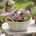 Panier à plantes blanc vintage, Ø30cm H14cm, avec poignées | Floristik24.be