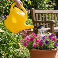 Arrosoir jaune 5 l