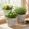 Pot de fleurs imitation écorce, idéal pour une décoration intérieure rustique et la mise en valeur des plantes, 12 cm, lot de 4 | Floristik24.be
