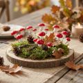 Mini agarics mouches sur fil rouge blanc champignons décoratifs Ø2cm 48 pcs | Floristik24.be